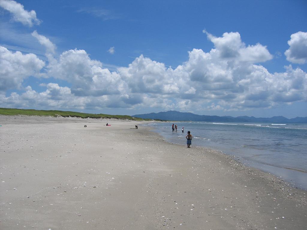 日置市の吹上浜。夏の青空と白い雲の下、広い砂浜が遠くの山並みまで続き、波打ち際に小さく人影が見える
