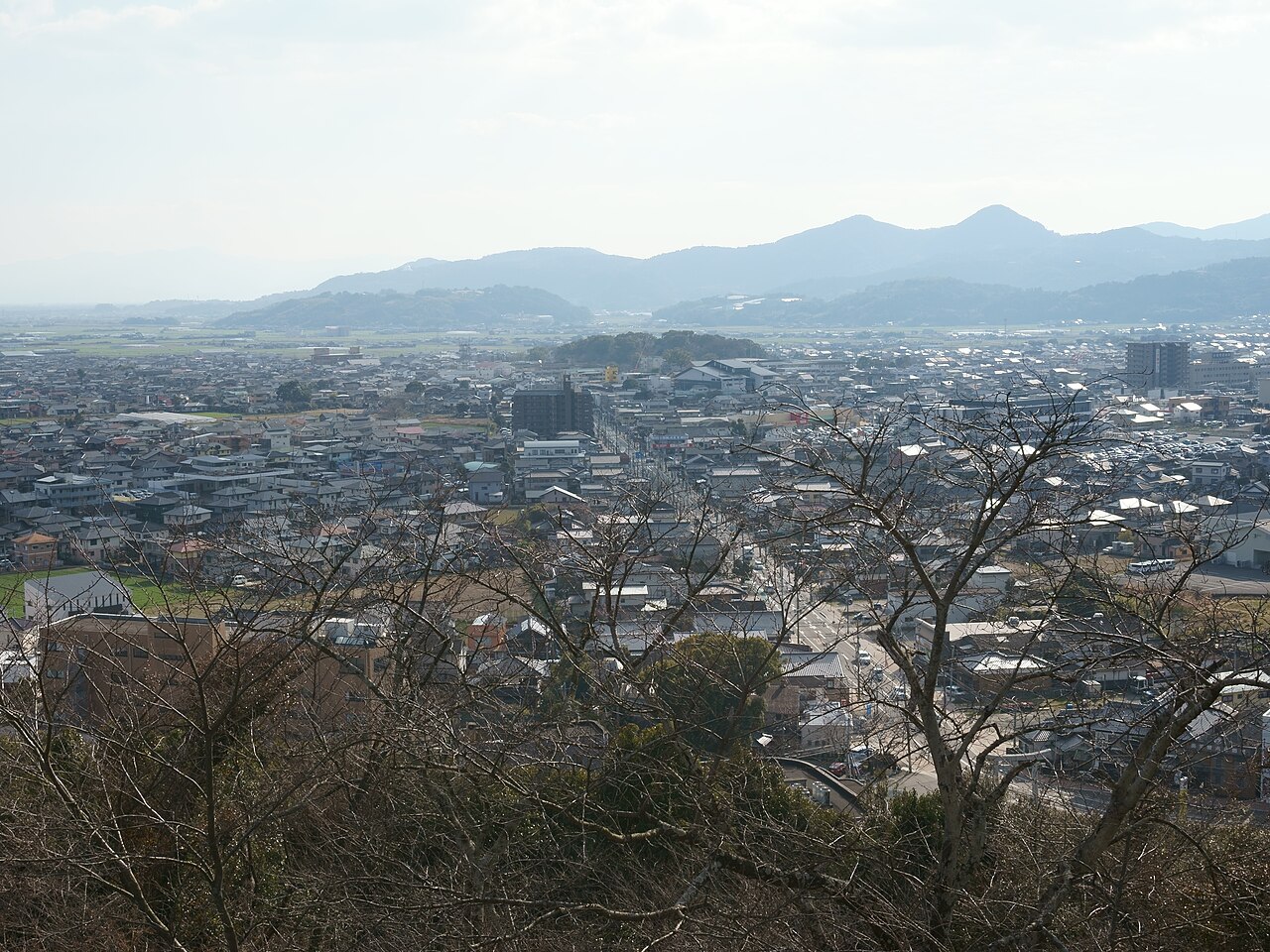 小城公園の千葉城跡付近から見下ろした小城市の市街地。手前に冬の木々、奥に家並みと田畑が広がり、遠くに山並みが続く