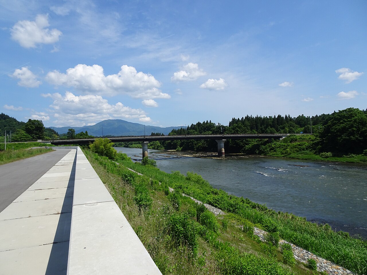 初夏の晴れた日の最上川。右手に川が流れ、奥に国道347号の三ヶ瀬橋が架かる。左手には堤防の舗装路と草の斜面、遠くに緑の山並みが見える