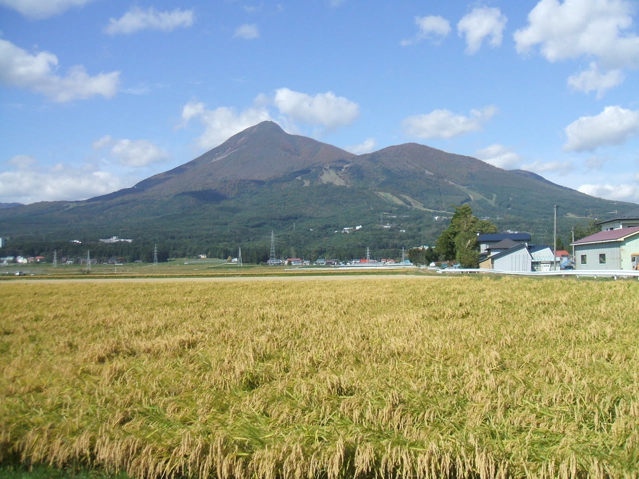 猪苗代町の田と磐梯山。手前に黄金色に実った稲の田が広がり、その奥に家並みと、秋の色に染まり始めた磐梯山がそびえる