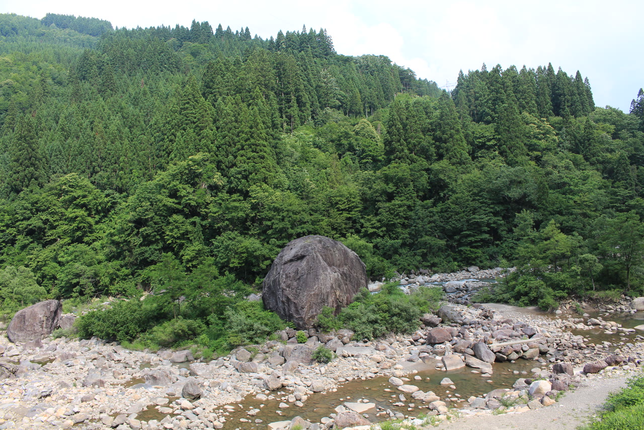 白山市白峰を流れる手取川。杉などの木々に覆われた山の斜面の下に、丸い石の広がる河原と浅い流れがあり、河原の中ほどに人の背丈を大きく超える岩がひとつある