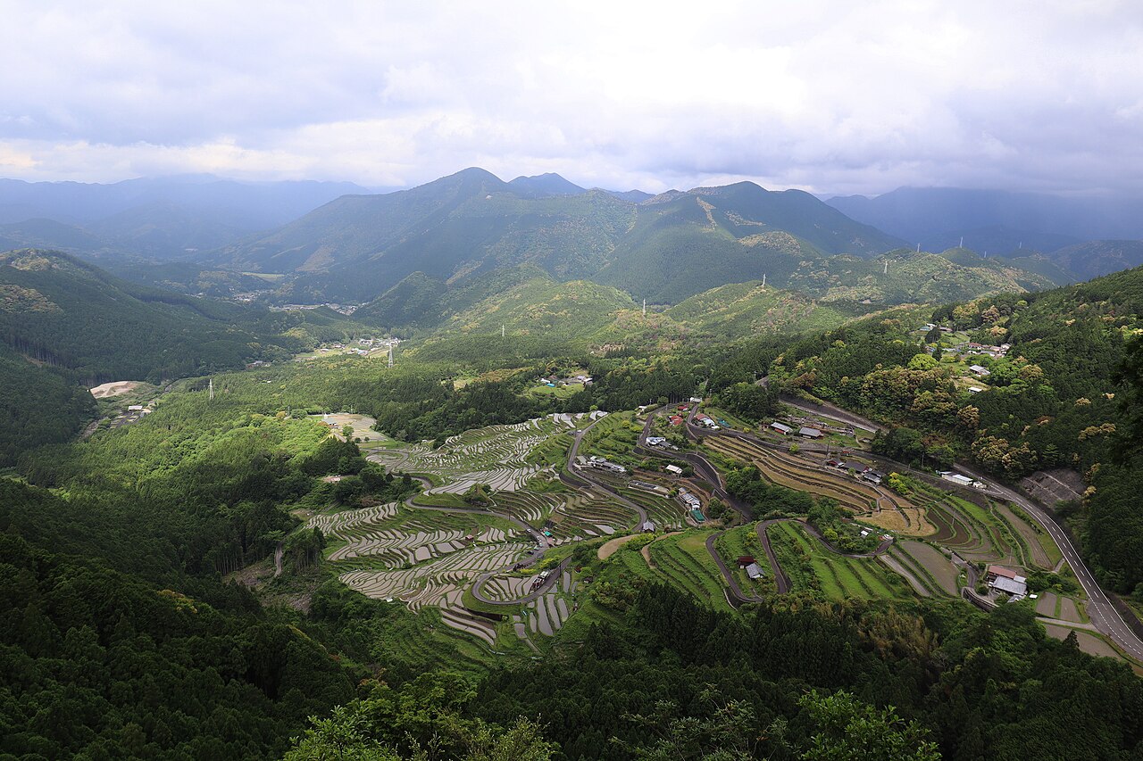 熊野市の丸山千枚田を高台から見下ろした眺め。紀伊山地の山々に囲まれた斜面に、水を張った田が曲線を描いて幾重にも重なり、道路と民家が点在する