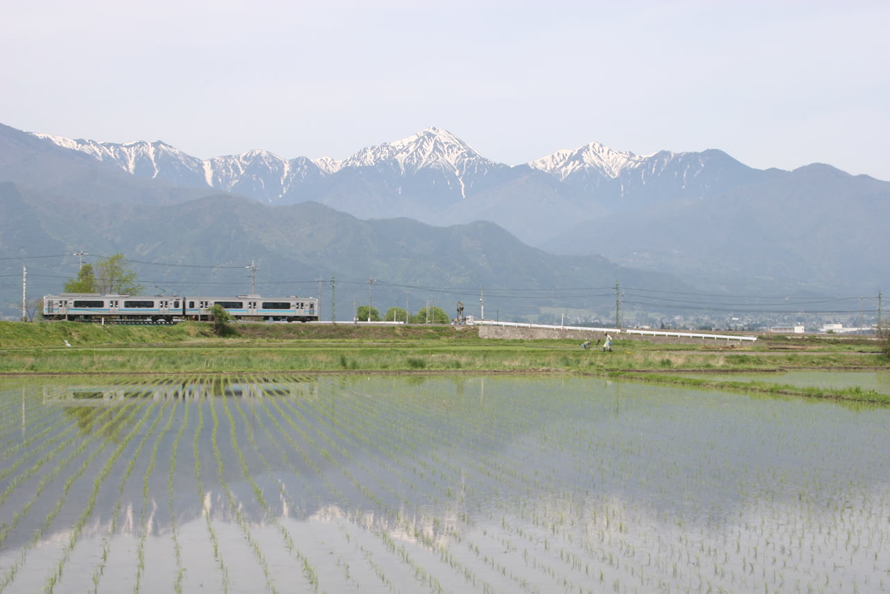 安曇野市の水田。苗を植えたばかりの田に水が張られ、奥を2両編成の電車が走り、その向こうに雪の残る常念岳などの山並みが連なる