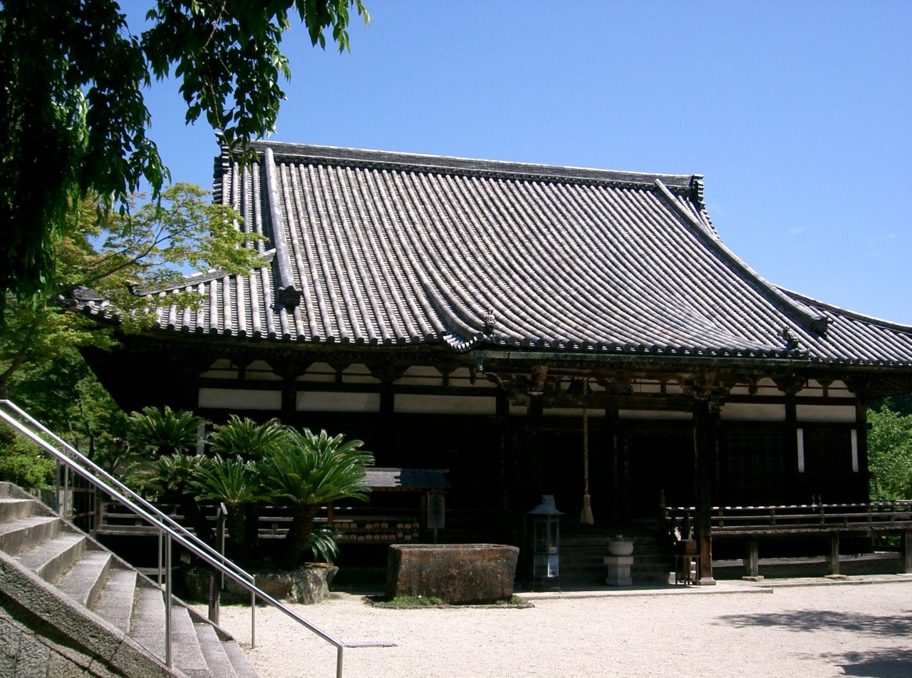 河内長野市の天野山金剛寺の金堂。瓦屋根の大きな木造の堂が青空の下に建ち、手前に白い砂利の庭と石段、ソテツの植え込みがある