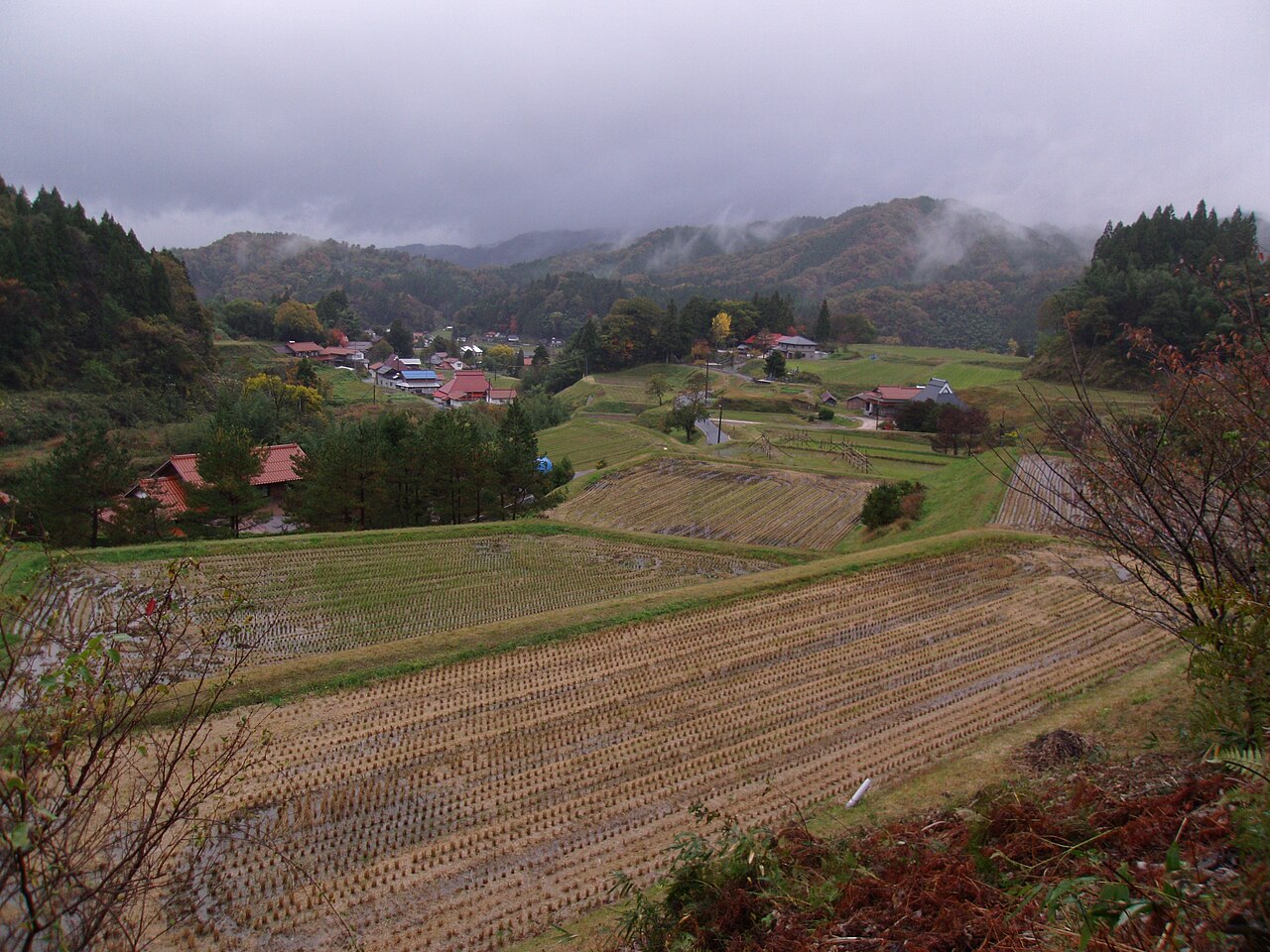奥出雲町の棚田。稲刈りを終えた田が手前から段々に下り、谷あいに赤い屋根の家々が点在し、霧のかかった山々が囲む