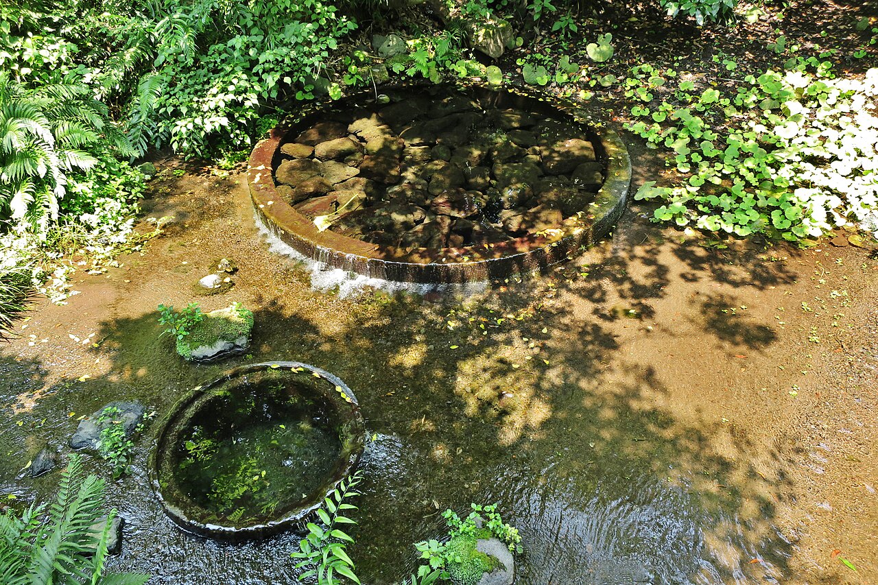 清水町の柿田川公園の湧き間。石で囲まれた丸い井戸の中で湧き水がわき、あふれた水が浅い流れになって木陰を流れる