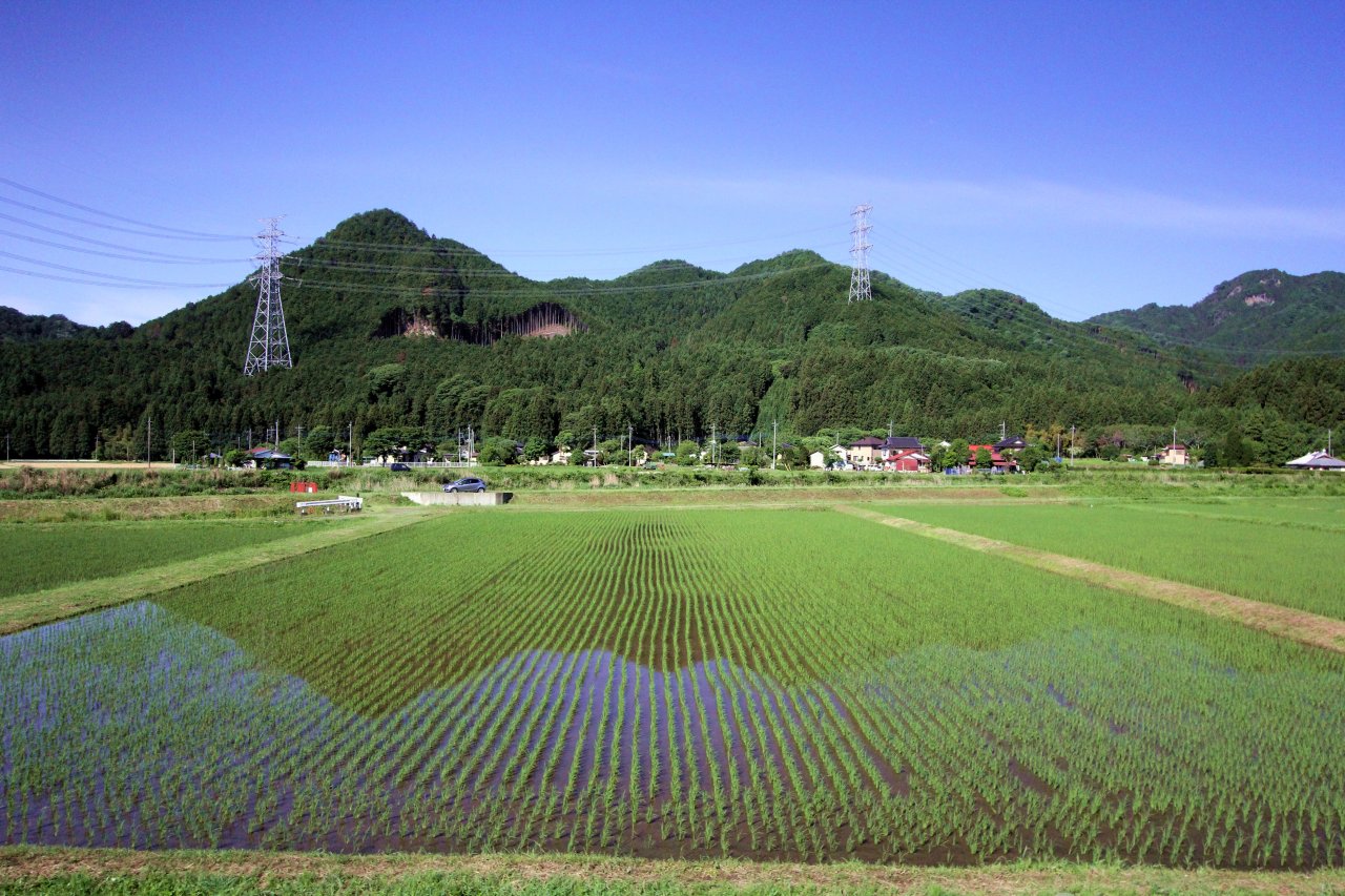 鹿沼市の水田。田植えを終えた水田に空と山が映り、その向こうの家並みの奥に、杉の林に覆われた山が連なる