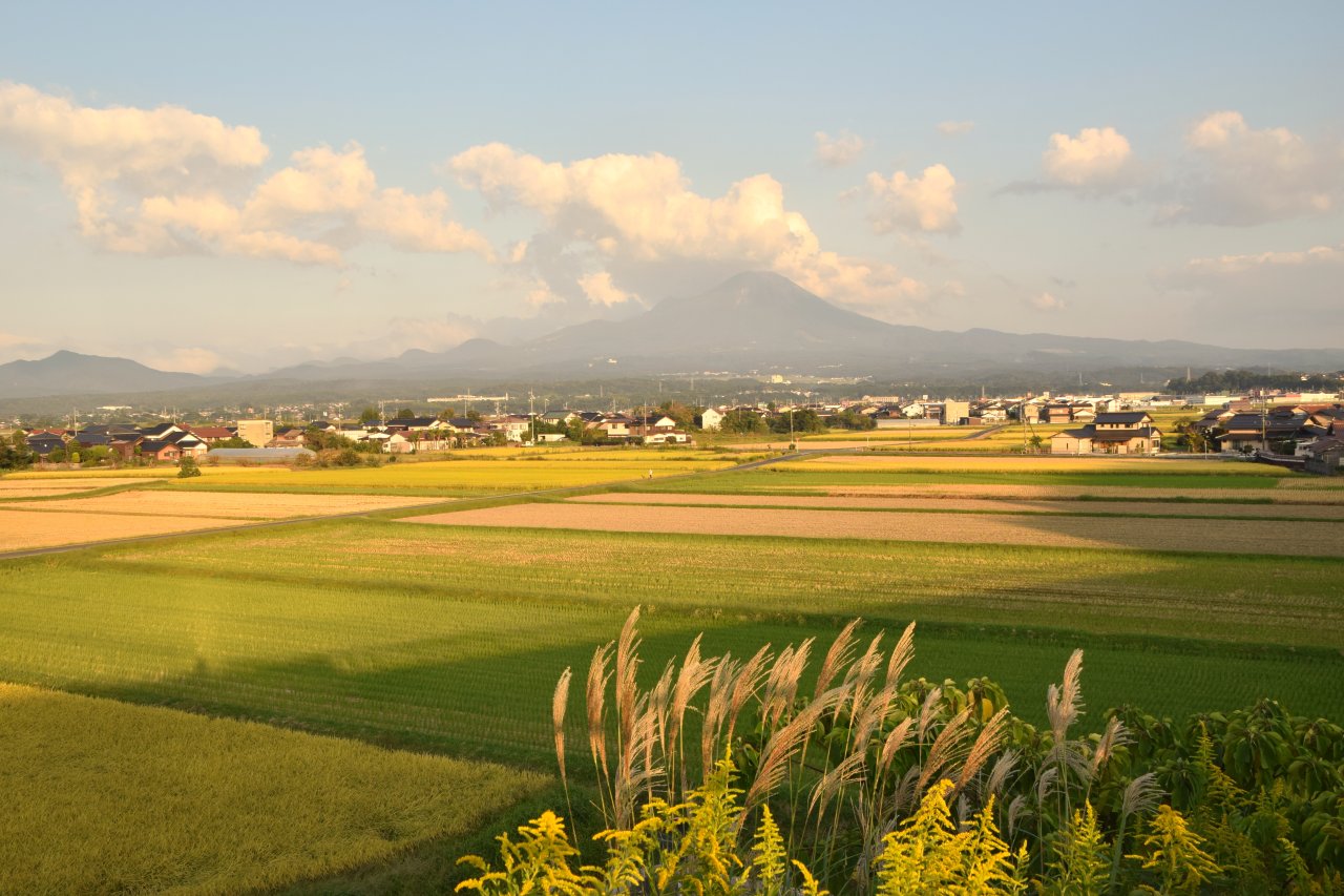南部町の田と大山。手前にススキが穂を出し、実った稲と刈り取りを終えた田の向こうに集落が並び、その奥に大山がそびえる