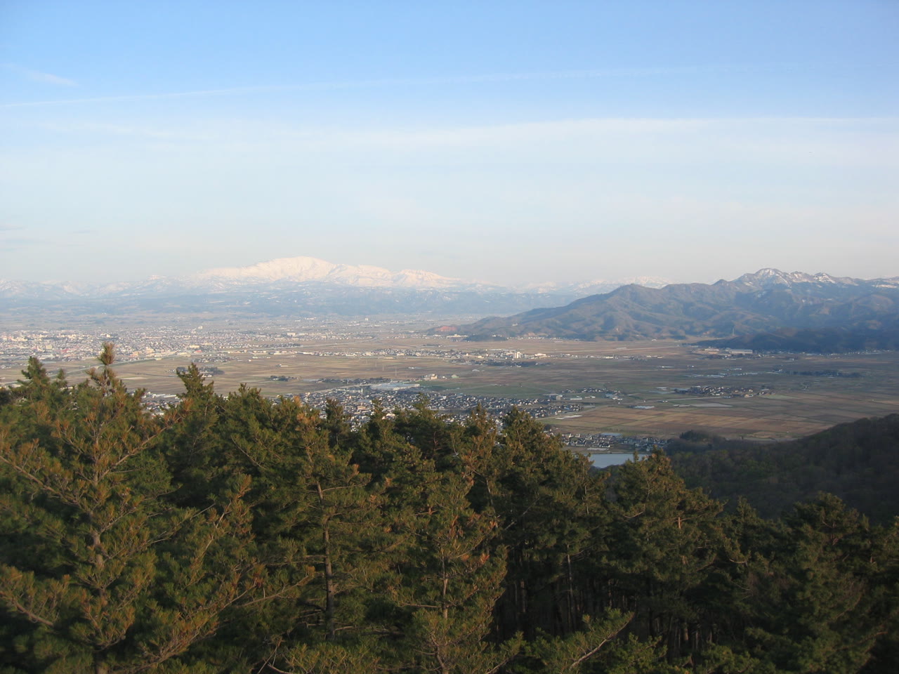 鶴岡市の高台から見た庄内平野。手前に松林、その先に田と町並みが広がり、遠くに雪の残る鳥海山と山並みが見える